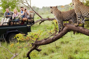 Jaipur: Jhalana/Amargarh Leopard Safari Private Tour