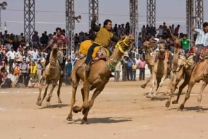 Jaipur: Private Same-Day Trip to Ajmer & Pushkar