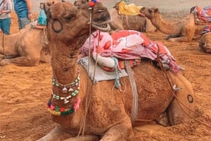 Jaipur: Private Same-Day Trip to Ajmer & Pushkar