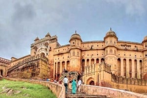 Jaipur: Full Day Heritage Sightseeing Tour with Food Testing