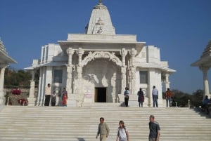 Jaipur: Full Day Heritage Sightseeing Tour with Food Testing