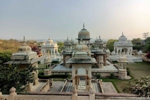 Jaipur: Full Day Heritage Sightseeing Tour with Food Testing