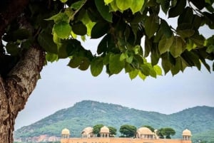 Jaipur: Full Day Private Sightseeing Tour with Masala Chai