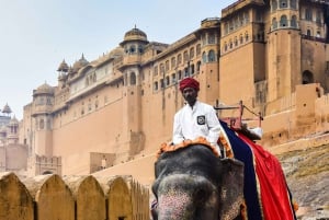 Jaipur: Private Sightseeing Day Tour with Guide by Car