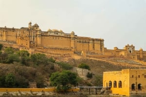 Jaipur: Private Sightseeing Day Tour with Guide by Car