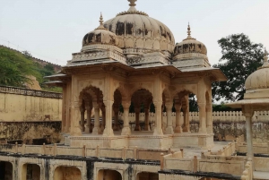 Jaipur Half Day Tour By Tuk Tuk With Local Chaiwala
