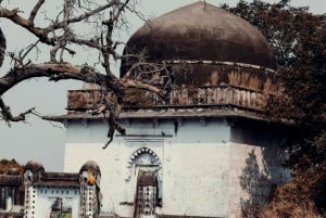 From Jaipur: 2-Day Ranthambore Tiger Safari with tranfers