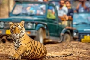 Jaipur: Ranthambore National Park Safari with Pickup