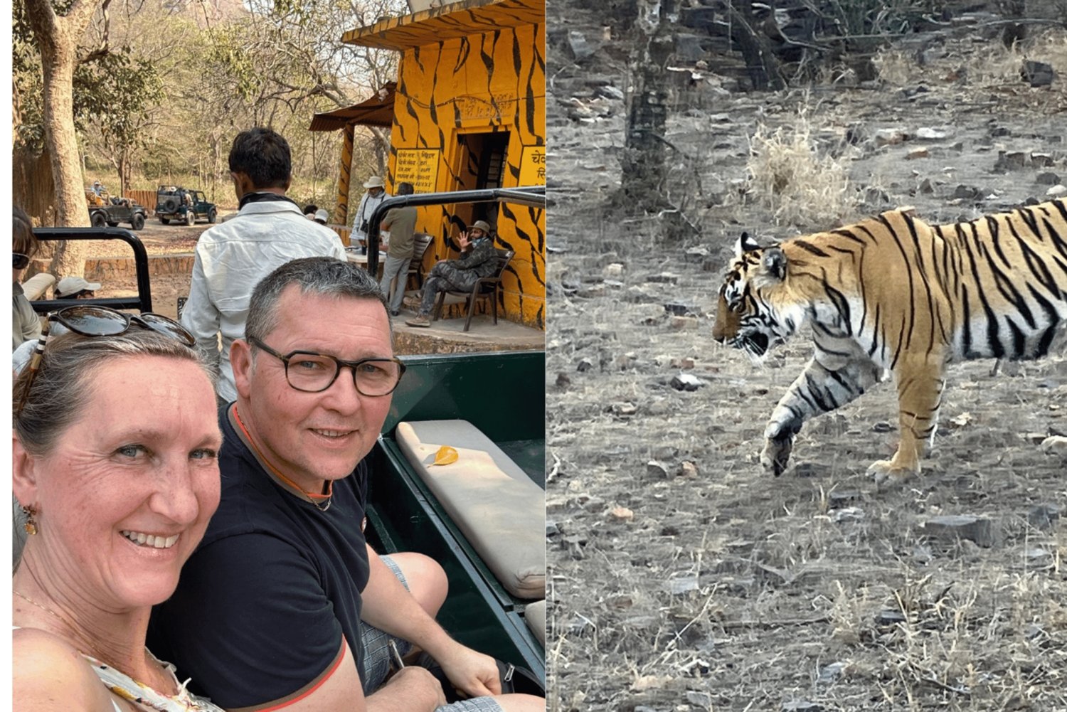 Jaipur : Circuit d'une journée au parc national de Ranthambore avec repas