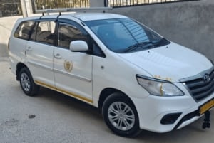 Jaipur: Ranthambore National Park Same-Day Tour mit Mahlzeiten