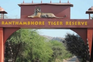 Jaipur: Ranthambore Private Guided Tour z taksówką