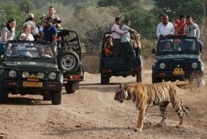 Jaipur: Ranthambore Yksityinen opastettu retki taksilla