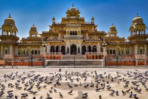 Jaipur: Jaipur Tour op dezelfde dag