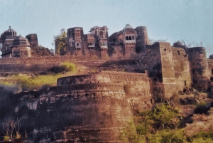 Джайпур: однодневное сафари с леопардами в Джхалана-Амагархе