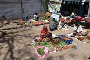 Jaipur : excursion d'une journée à Bundi l Découvrez la riche culture