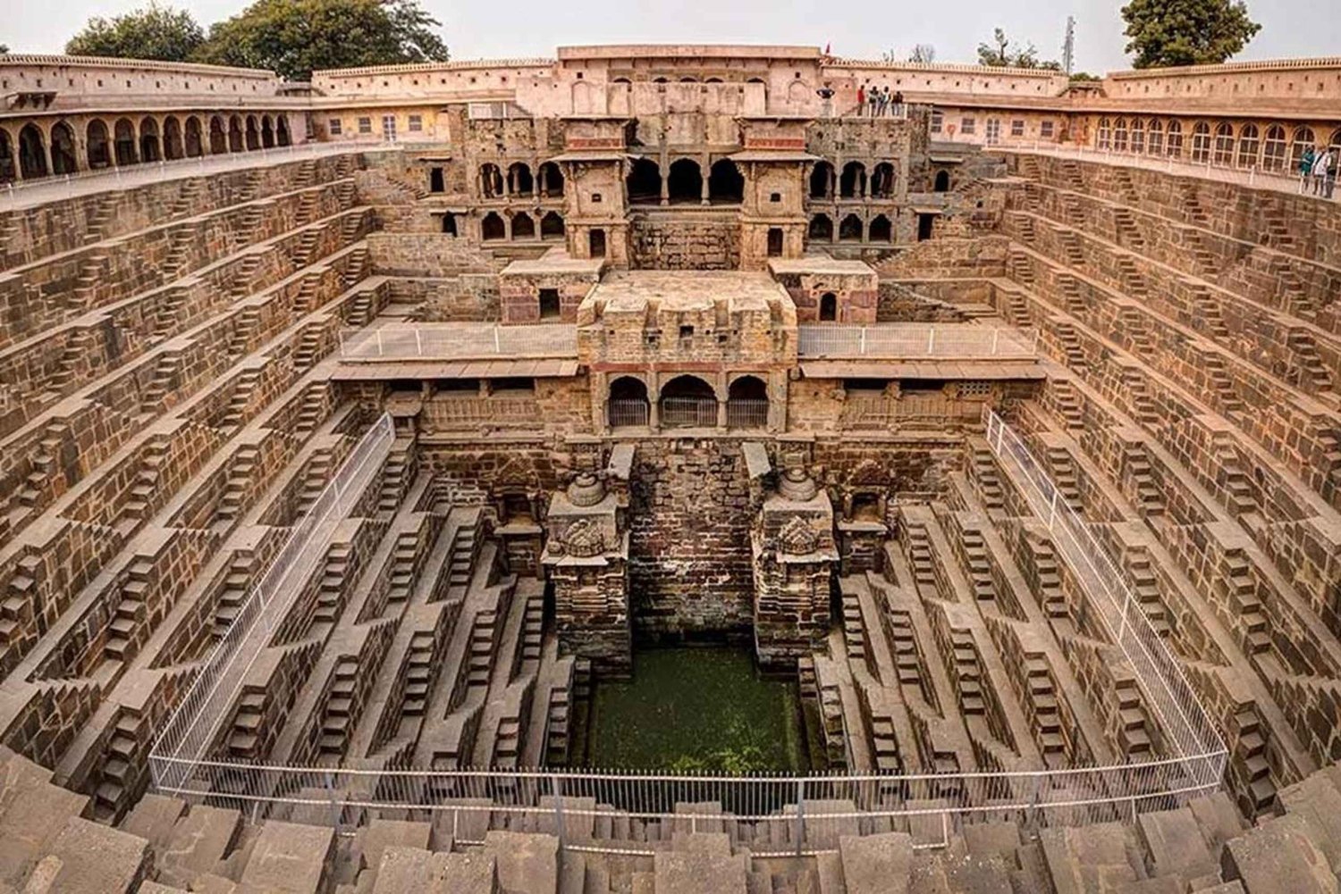 Jaipur: Safari en Sariska con parada en Abhaneri Stepwell y comida incluida.