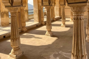 Jaipur: Safári em Sariska com parada em Abhaneri Stepwell e refeição