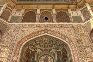 Jaipur: Safári em Sariska com parada em Abhaneri Stepwell e refeição