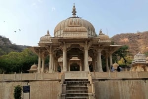 Jaipur: Full Day Heritage Sightseeing Tour with Food Testing