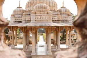 Visite de Jaipur avec le temple des singes (Galta ji temple)