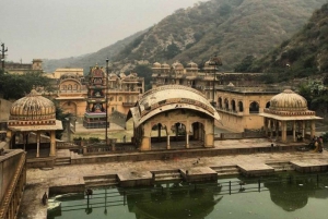Visite de Jaipur avec le temple des singes (Galta ji temple)