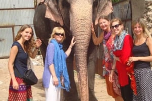 Jaipur: Private Sightseeing Day Tour with Guide by Car