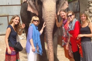 Jaipur : Visite touristique privée d'une journée avec guide en voiture