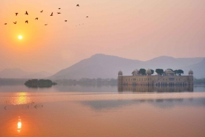 Jaipur-tur (Den rosa byen) med bil fra Delhi - alt inkludert