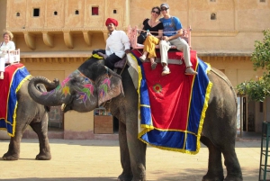 Jaipur Tour ( Roze Stad ) met de auto vanuit Delhi - All Inclusive