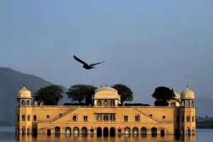 Passeio de Tuk Tuk ou táxi em Jaipur