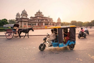 Jaipur TukTuk Tales (3 Hour Guided Tour with Food Tasting)