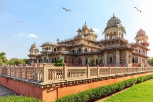 Jaipur TukTuk Tales (3-stündige geführte Tour mit Verkostung)
