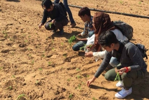 Jaipur: Dorf-Jeep-Safari in offenen Jeeps