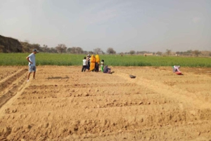 Jaipur: Dorf-Jeep-Safari in offenen Jeeps