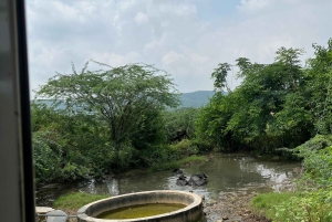 Jaipur: Village Tour with Local Activities