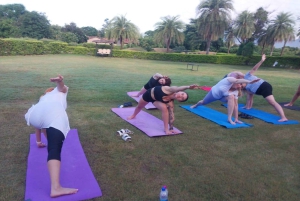 Jaipur: Jooga- ja meditaatiokoulutus pyhän kävelyn kanssa