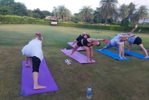 Jaipur: Jooga- ja meditaatiokoulutus pyhän kävelyn kanssa