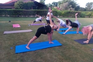 Jaipur: Jooga- ja meditaatiokoulutus pyhän kävelyn kanssa