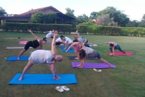 Jaipur: Jooga- ja meditaatiokoulutus pyhän kävelyn kanssa