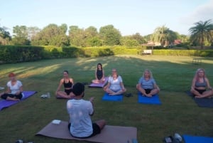 Jaipur: Jooga- ja meditaatiokoulutus pyhän kävelyn kanssa