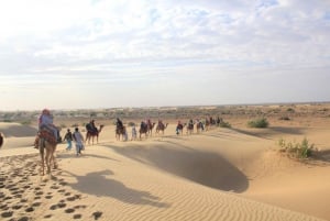 Jaisalmer: 2-tägiges Wüstenerlebnis in Thar