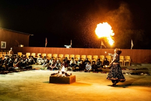 Jaisalmer: tour di 3 giorni con campeggio nel deserto e safari