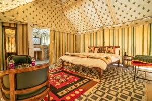 Jaisalmer: tour di 3 giorni con campeggio nel deserto e safari