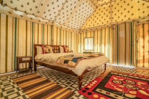 Jaisalmer: tour di 3 giorni con campeggio nel deserto e safari