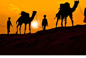 Джайсалмер: сафари на верблюдах, ужин и массаж