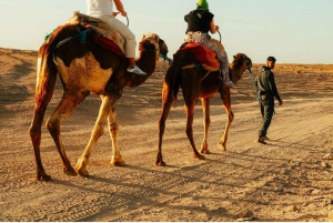 Джайсалмер: сафари на верблюдах, ужин и массаж