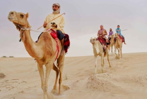 Джайсалмер: сафари на верблюдах, ужин и массаж