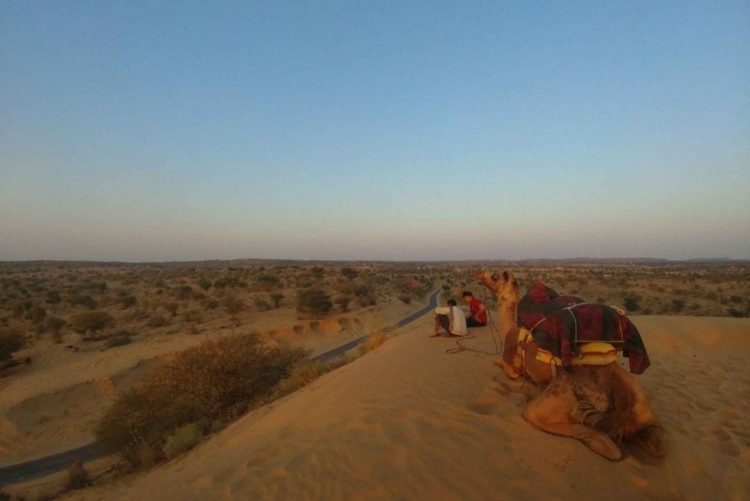 Jaisalmer: Camel Safari Half-Day Tour