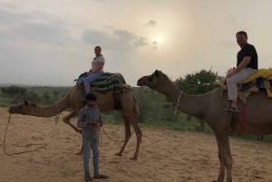 Jaisalmer: Camel Safari Half-Day Tour