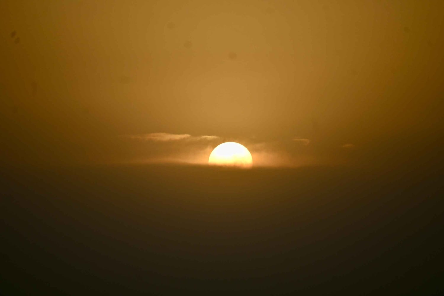 Jaisalmer: Ökenläger med kamelridning och kulturföreställning